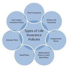 Types of Life Insurance Policies - Discuss The Types!
