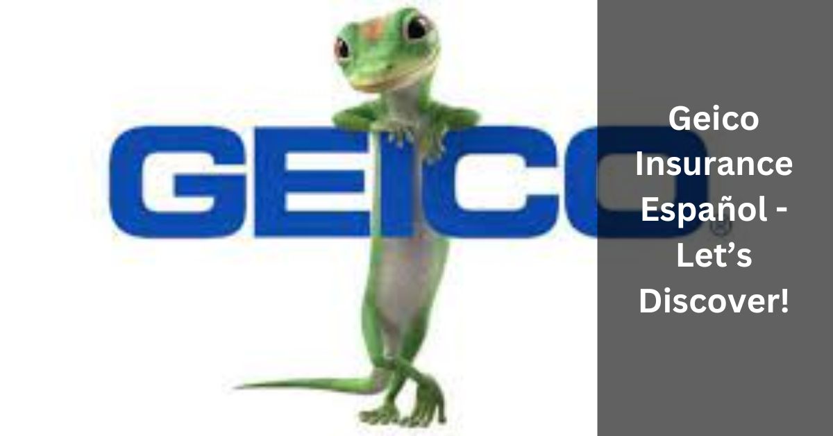 Geico Insurance Español
